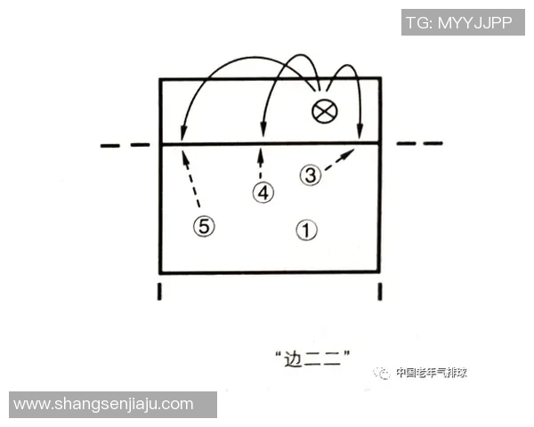 南京排球队中路突破分析与战术调整探讨